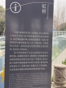 像片——岳飞诞辰922周年宜兴祭祀活动全集