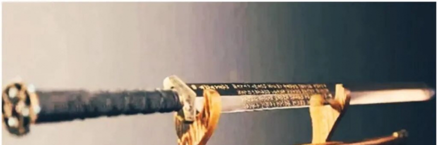 岳霖示封剑驯服安南狂使