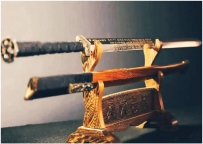 岳霖示封剑驯服安南狂使