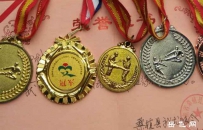 岳家拳传人与岳氏后裔武术爱好者交流平台