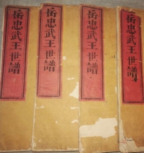 清光绪刻本民国续修《岳忠武王世谱》