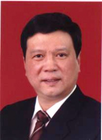 湖北省人民政府副秘书长岳勇