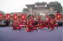 精忠武校应邀参加央视七套走进乡村节目表演